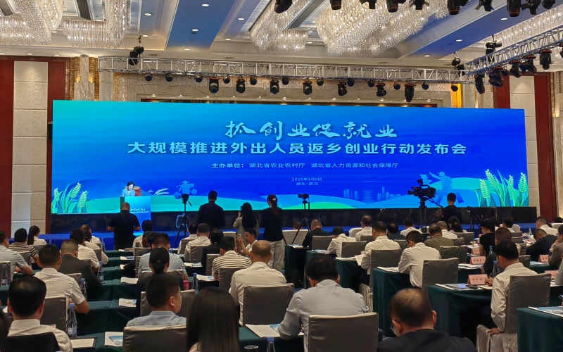 湖北发布《大力推进外出务工人员返乡创业行动方案》。人民网记者 郭婷婷摄